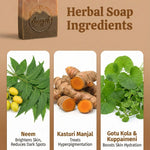 Herbal Soap